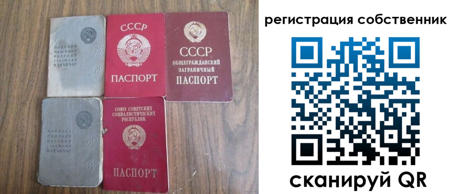 прописка поиск в Александровске