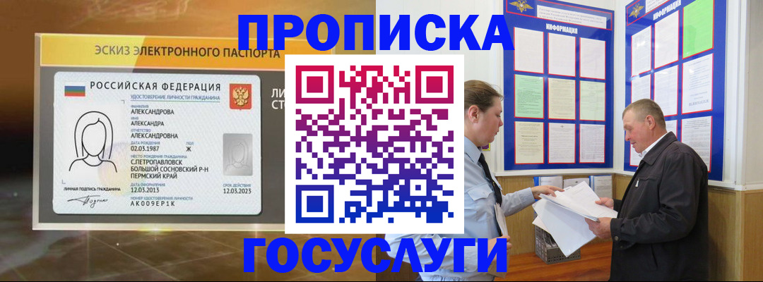 прописка поиск в Александровске
